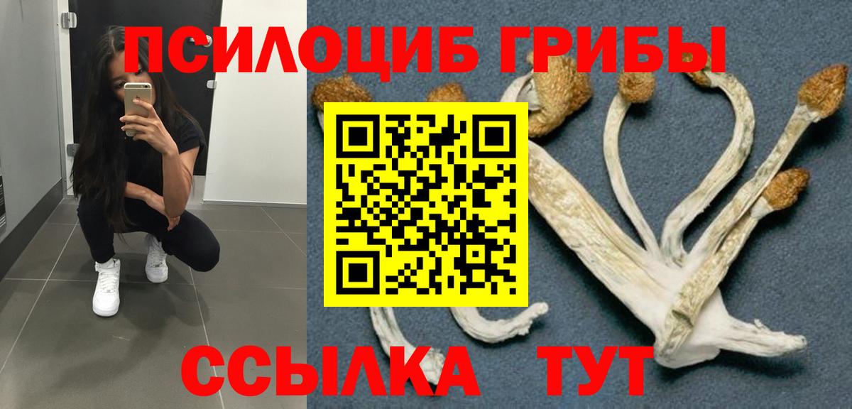 Урюпинск  Галлюциногенные грибы Cubensis  Вход с VPN 
